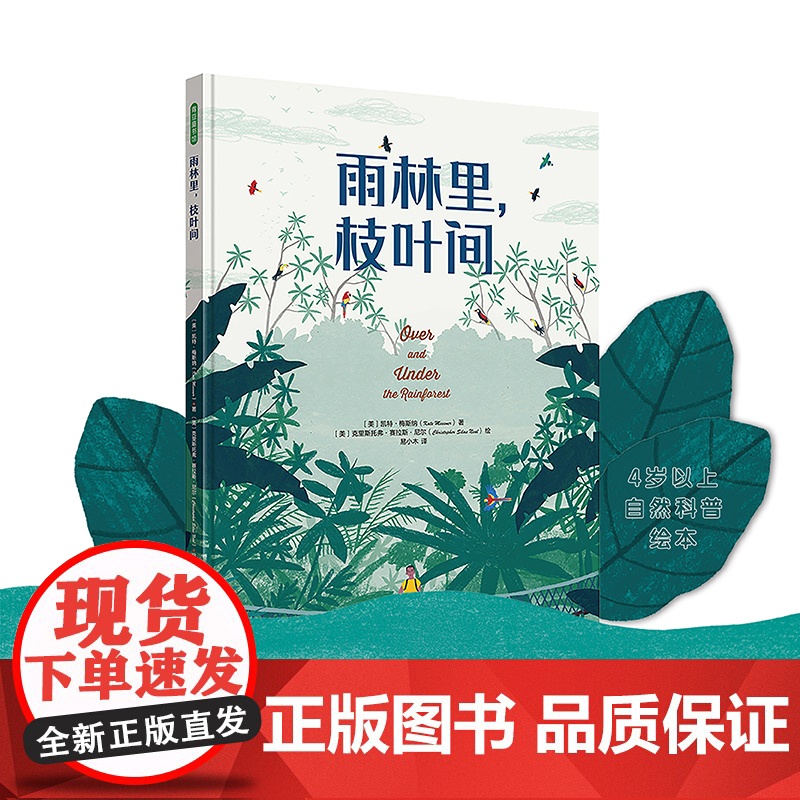 雨林里,枝叶间(让孩子从雨林的勃勃生机中汲取向上的生命力量)高清大图