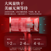 海尔(Haier)电吹风机HC51-2026朱雀红电吹风机家用负离子护发吹风机大功率低音吹风筒1800W大功率