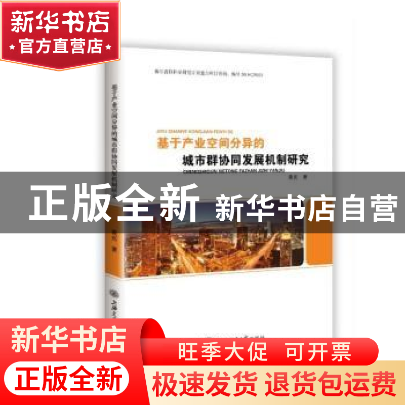 正版 基于产业空间分异的城市群协同发展机制研究 黄宾著 上海交