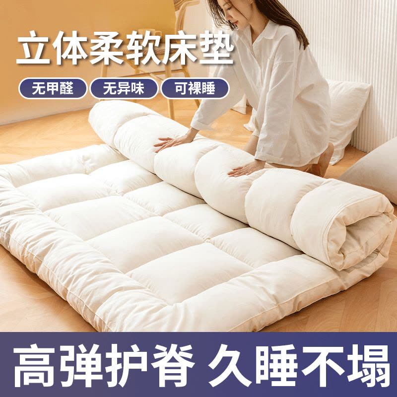 加厚床垫家用软垫榻榻米垫子单人垫褥租房垫被冬季图片