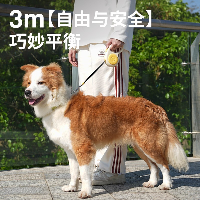 艾窝汉堡牵引绳5M-不带灯灰白色高清大图