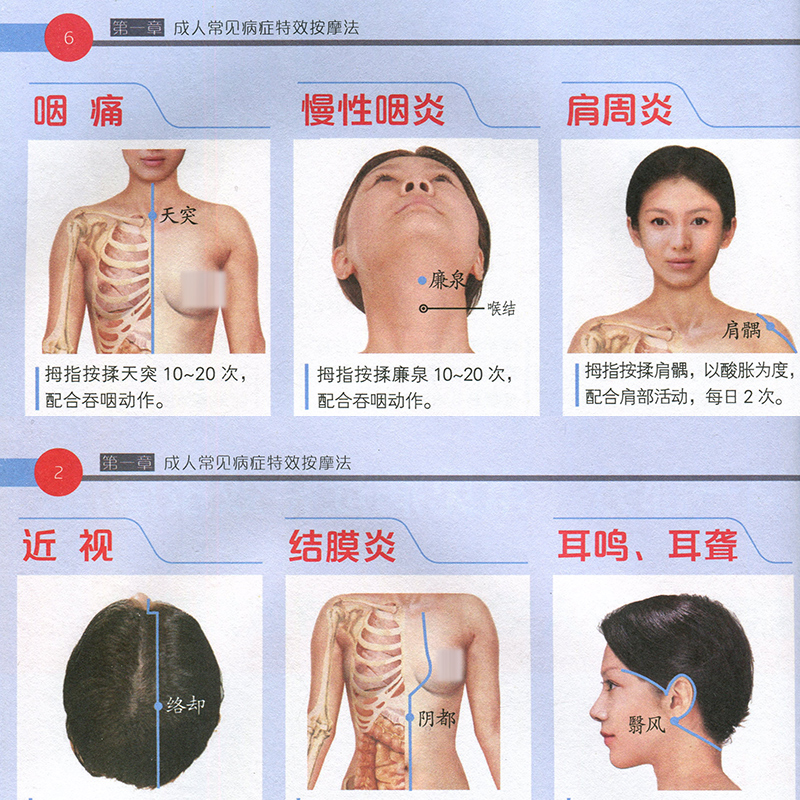 [醉染正版]正版经络穴位按摩全书穴位图人体经络穴位大全图高清大图穴位书按摩书自学基础家庭医生家庭中医养生学书籍入门图册真高清大图
