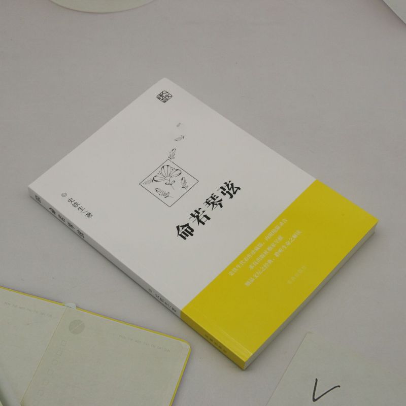 命若琴弦 [正版] 命若琴弦 史铁生 我与地坛同作者呈献细品文坛之经典聆听生命之解读文学散文随笔病隙碎笔务虚笔记史铁生文高清大图