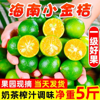 小金桔新鲜水果当应季青金桔柠檬奶茶店榨汁调味 250g/份
