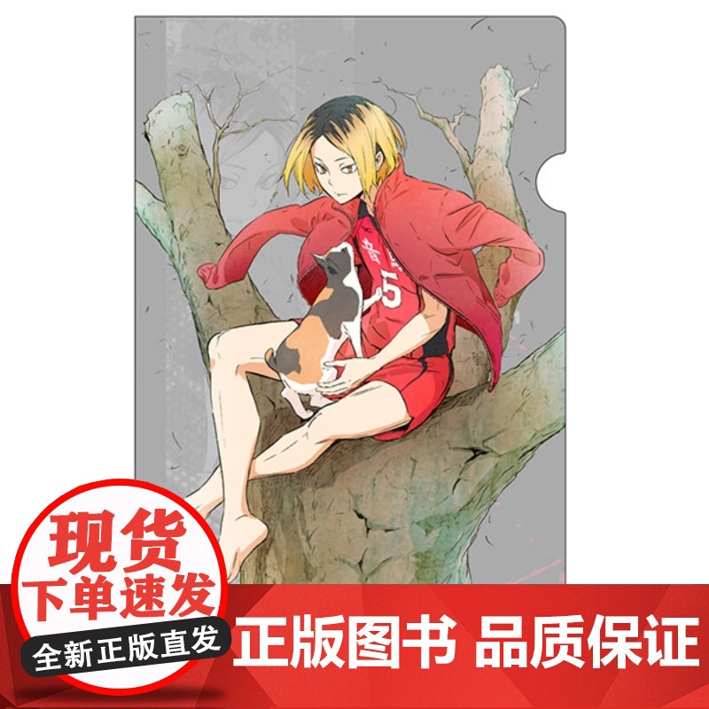[正版日谷]排球少年 透明文件夹第2弹高清大图