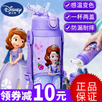 迪士尼(DISNEY)儿童保温杯带吸管杯两用小学生水壶幼儿园小孩宝宝水杯