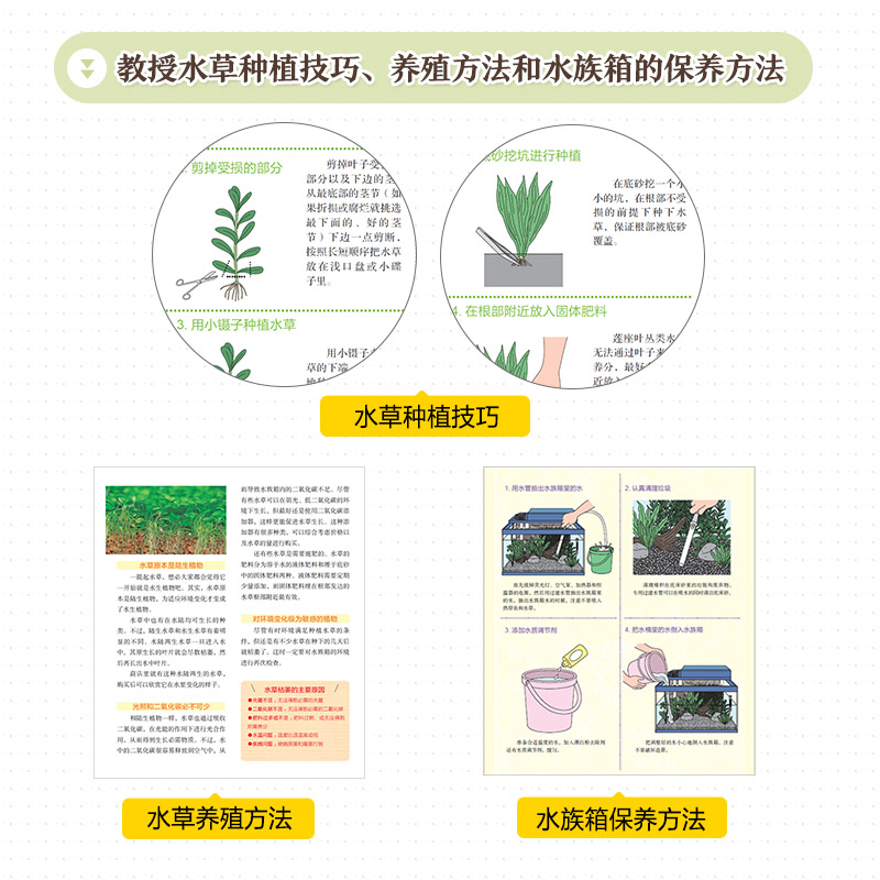 [正版]水草造景和热带观赏鱼饲养技术手册打造理想水族箱造景书籍 水草造景艺术热带观赏鱼水草造景养殖图鉴书籍高清大图