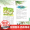 森林报:春、夏、秋、冬 (彩绘注音版全4册)