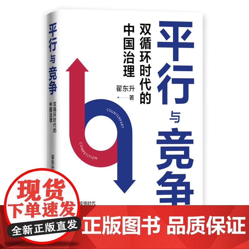 平行与竞争 双循环时代的中国治理 翟东升 著 B站名师翟高清大图