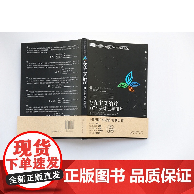 心理咨询与治疗100个关键点译丛 存在主义治疗100个关键点与技巧 心理治疗技巧 心理咨询实战派经典力作 心理咨询师的案高清大图