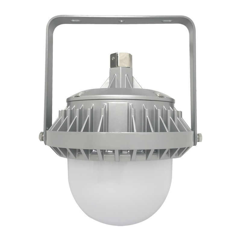 LHF2109 LED平台灯 30/50W 220V 冷光 IP65(计价单位:个)灰色