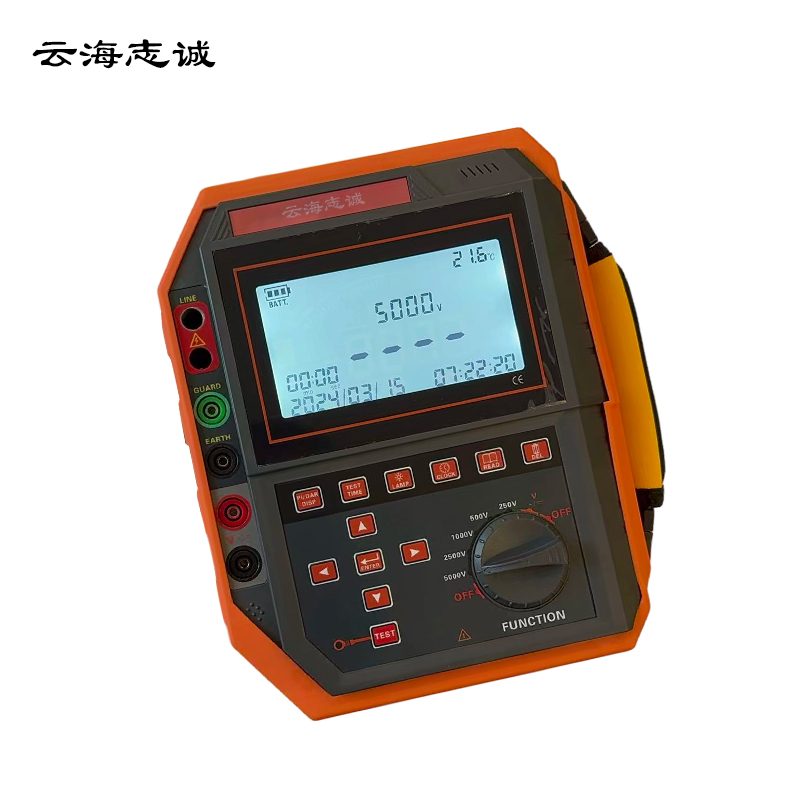 电子智能兆欧计 WT-3125 1台高清大图