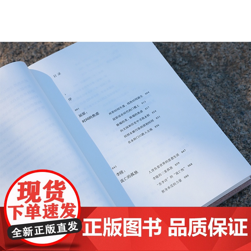 九诗心:暗夜里的文学启明 黄晓丹著 入选2025得到年度书单TOP15 看见诗人的另一面 叶嘉莹、钱理群重磅 理想国图书高清大图