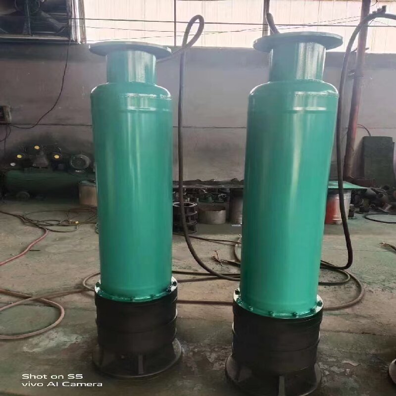 内装式多级泵WQX80-80-30KW 单位/台高清大图