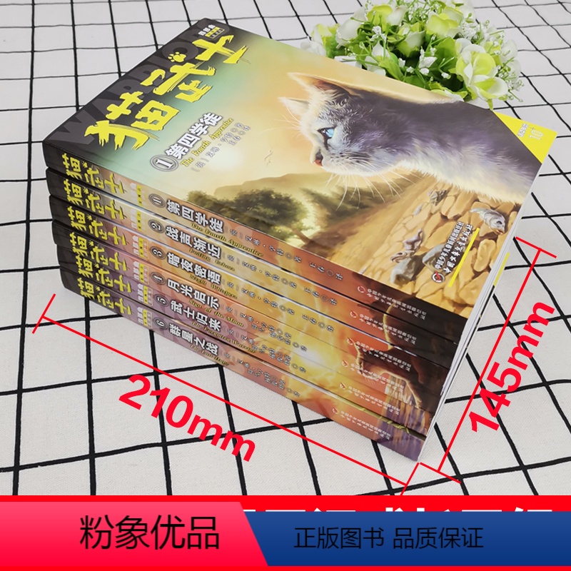 [正版]全6册猫武士四部曲星预言新译本第四学徒群星之战中小学生课外书8-12岁三年级课外读四五年级阅读儿童书10-15