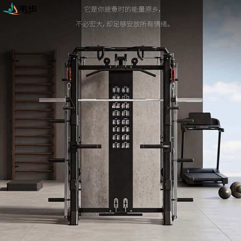 韦步FW-PT09史密斯综合训练器小飞鸟多功能一体龙门架家用商用卧推架高清大图