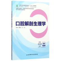 口腔解剖生理学
