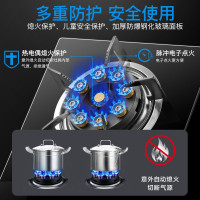 荣事达（Royalstar）燃气灶 双灶煤气灶 家用天然气液化气炉具 猛火鸳鸯灶 【猛火灶】钢化玻璃+铜火盖（天然气灶）
