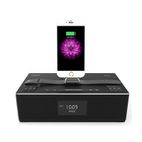 RSR DS420 苹果音响 iPhone X/8/7/ipad手机充电底座 播放器蓝牙NFC音响 插卡音箱 黑色