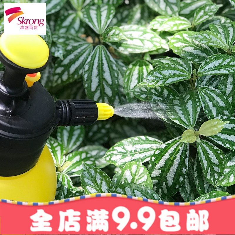 美乐棵喷水壶1.5L 浇花喷壶压力园艺工具小喷雾器气压式浇水喷雾