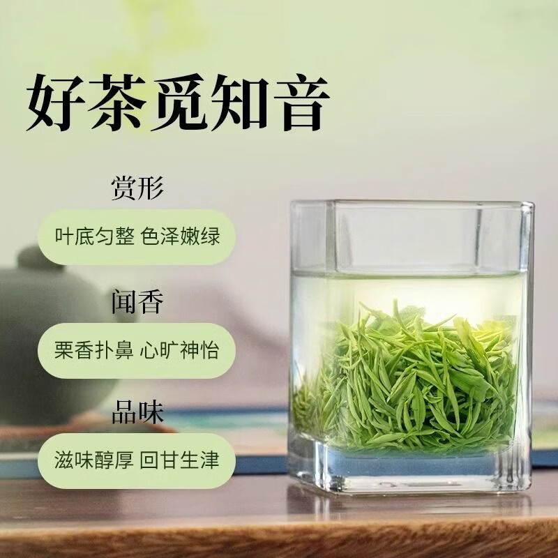 贵天下 新茶春茶手工嫩芽毛尖茶鲜嫩芽叶 一芽一叶毛尖 500g高清大图