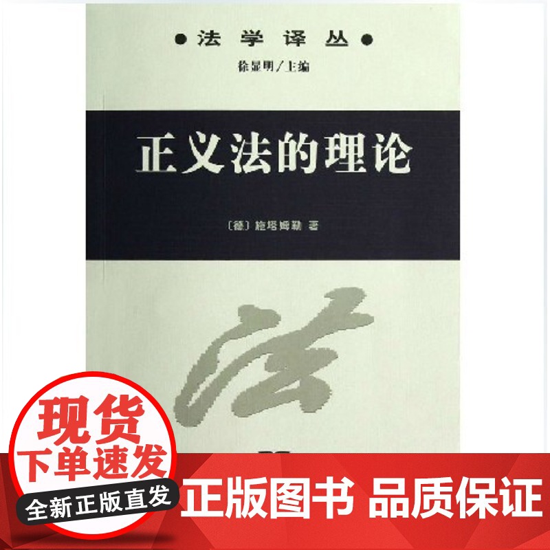 正版 正义法的理论/法学译丛 (德)施塔姆勒高清大图