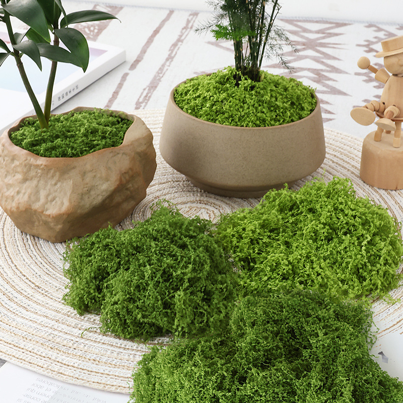 仿真苔藓草皮仿生人造假青苔微景观布置摆件草坪盆景盆栽铺面-丝状苔藓浅绿色50g高清大图