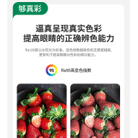 雷士照明新款舒适光大瓦数北欧星空灯客厅主灯现代简约吸顶灯具全屋套餐灯具套餐