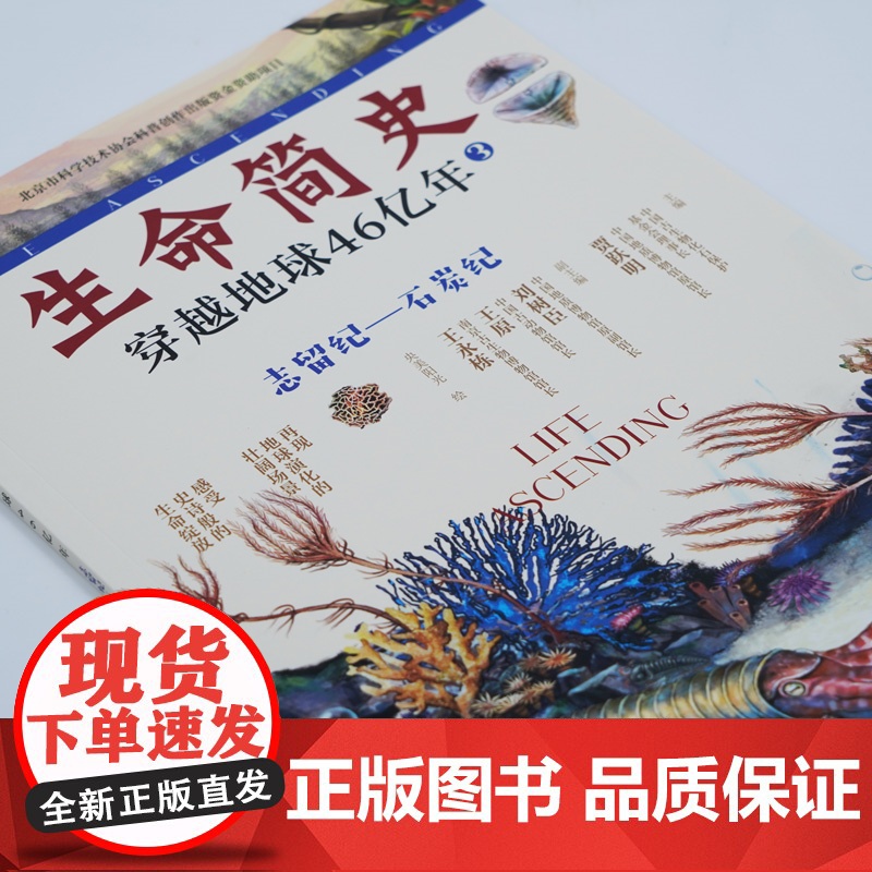 生命简史 穿越地球46亿年 志留纪 石炭纪 6-12-15岁儿童中小学生青少年科普读物 宇宙起源地球形成生命诞生史前世界高清大图