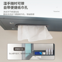 法恩莎(FAENZA) FPGD3695E-1 卫生间绒面铁灰色浴室柜 阳台带镜柜洗手洗脸洗漱台盆柜组合套装