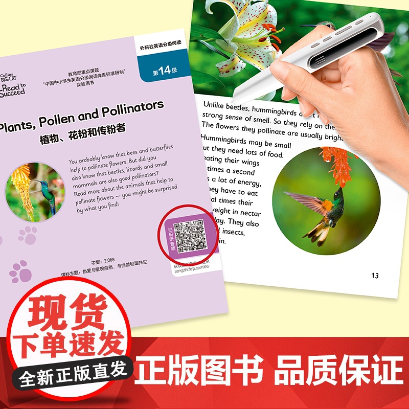 [外研社]大猫英语分级阅读(广东版)9高清大图