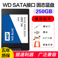 西部数据WD 250G SATA接口蓝盘固态 250G笔记本台式机SSD 固态硬盘