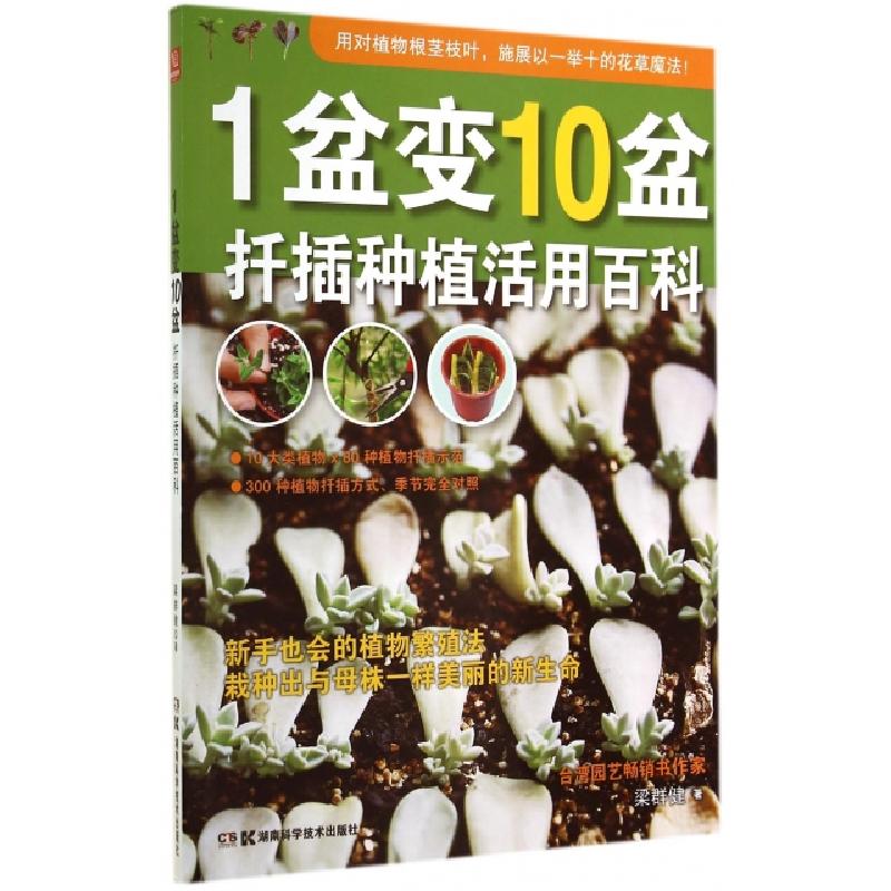 正版新书]1盆变10盆(扦插种植活用百科)梁群健9787535782816高清大图