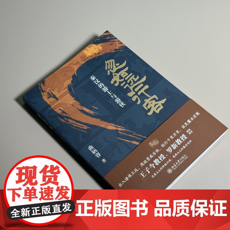 忽如远行客:秦汉的游士与游侠 一部别开生面的秦汉史 王子今罗新教授联袂一个如流星一样璀璨夺日的群体一部别开生面的秦汉史高清大图