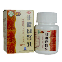 陳李済 壮腰健肾丸 35g*1瓶/盒