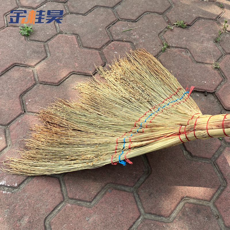 金桂昊 扫把 白净苗50cm 把高清大图