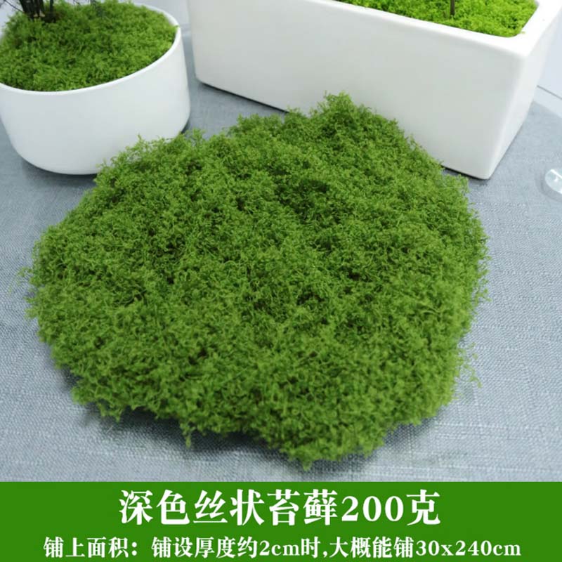 仿真苔藓 深绿200g高清大图