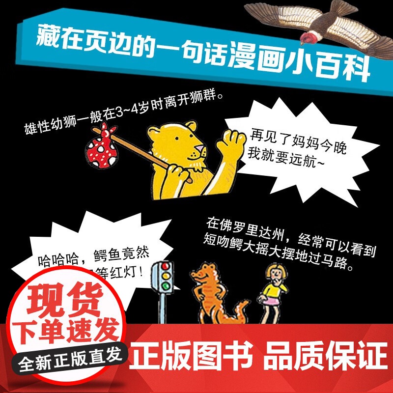 太酷啦 动物的秘密如此多 7-14岁 凯特·贝蒂等 著 科普百科高清大图