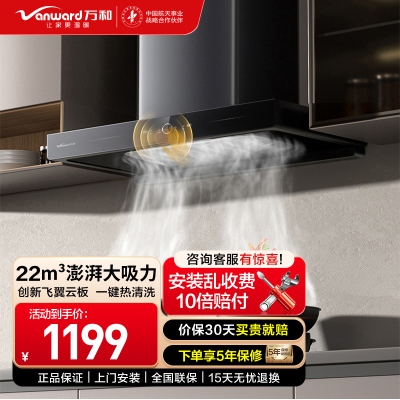 万和欧式油烟机22m³CXW-380-X739A