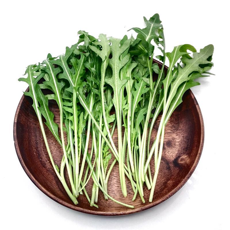 芝麻菜250g新鲜蔬菜菜沙拉菜西餐生菜日天生鲜可开发票