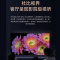 小米电视 ES65L65M7-ES 65英寸