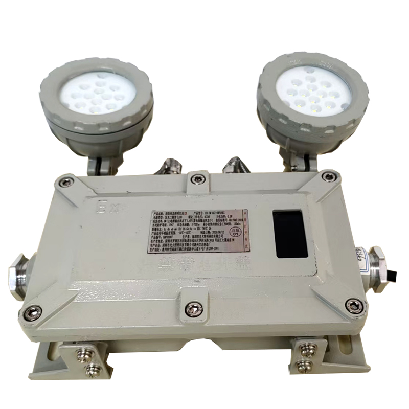 光大特照 EB-ZM-ACZ-6WF15EX DC36V 6W IP67 120min LED消防应急照明灯具 盏 灰色高清大图