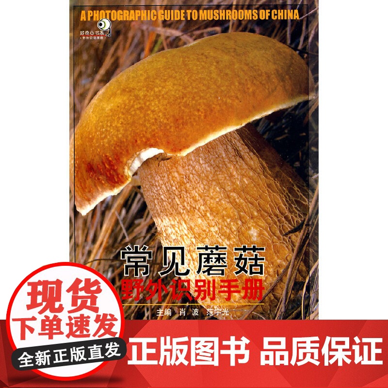 常见蘑菇野外识别手册高清大图