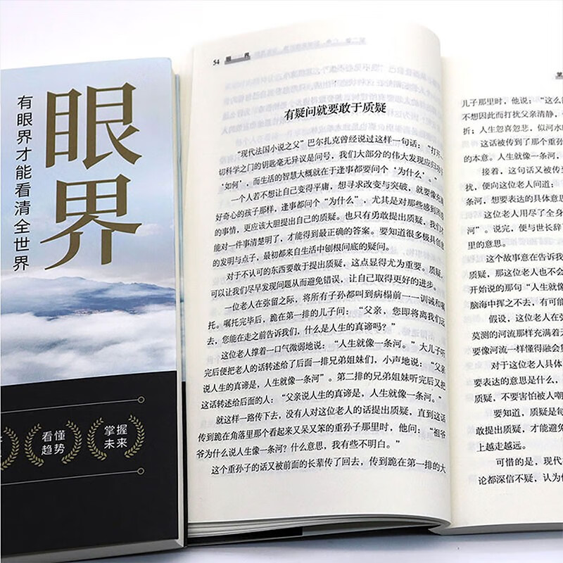 [全10册]高效处事成功法则 [正版]抖音同款眼界书籍决定你的高度人生智慧课思路决定出路格局结局窥见高度高情商自我实现凡高清大图