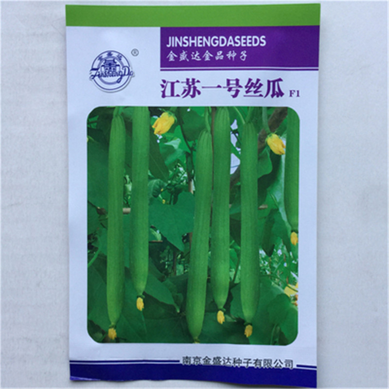 江苏一号长丝瓜种子高产抗病春秋播大田农家长香肉丝瓜种籽江苏一号