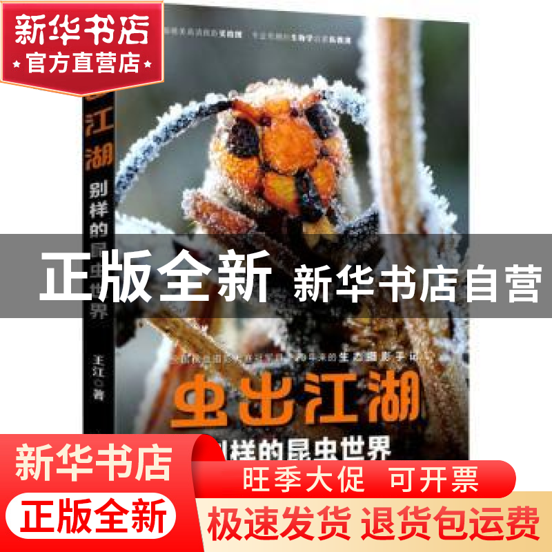 正版 虫出江湖 别样的昆虫世界 王江 人民邮电出版社 97871155435高清大图