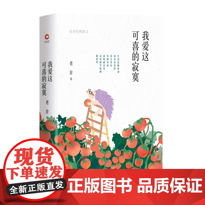 我爱这可喜的寂寞(老舍散文经典精装,精编精校,汪曾祺、王朔推崇的语言大家)高清大图