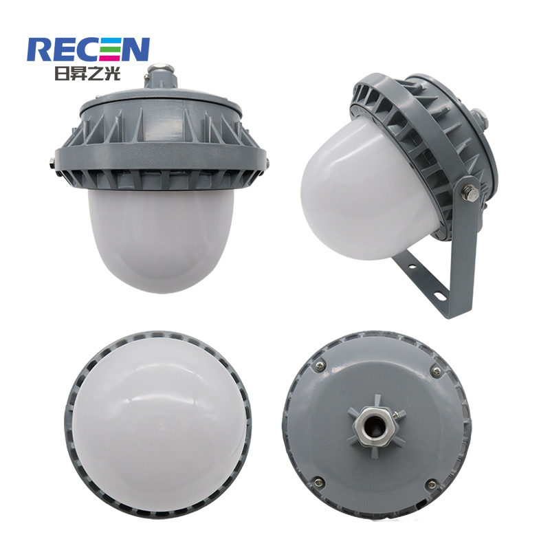 RECEN RGPL220 50W 固定式LED灯具 个高清大图