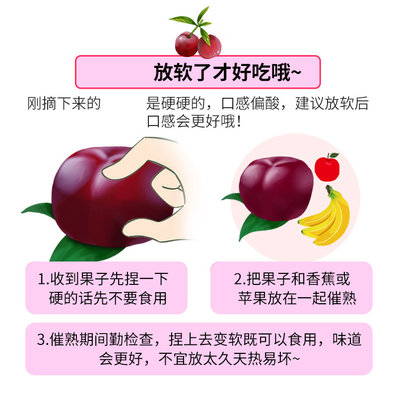 [西沛生鲜]云南鸡血李 净重5斤 大果 单果25-30g高清大图