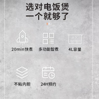 新飞Frestec电饭煲FTFB-R123